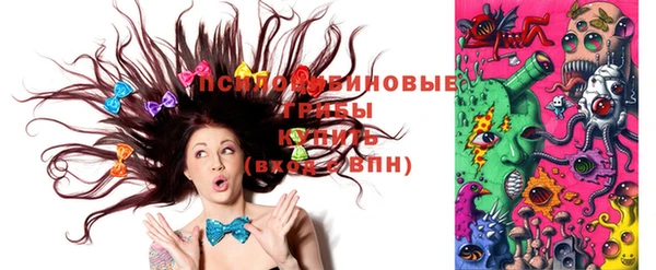 круглые Абаза